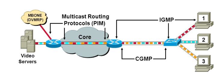 Multicast End to End